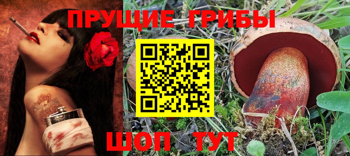 Псилоцибиновые грибы Psilocybine cubensis Каменск-Шахтинский
