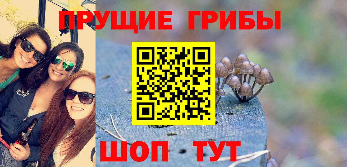 Каменск-Шахтинский  как найти закладки  Вход с VPN  Псилоцибиновые грибы MAGIC MUSHROOMS 